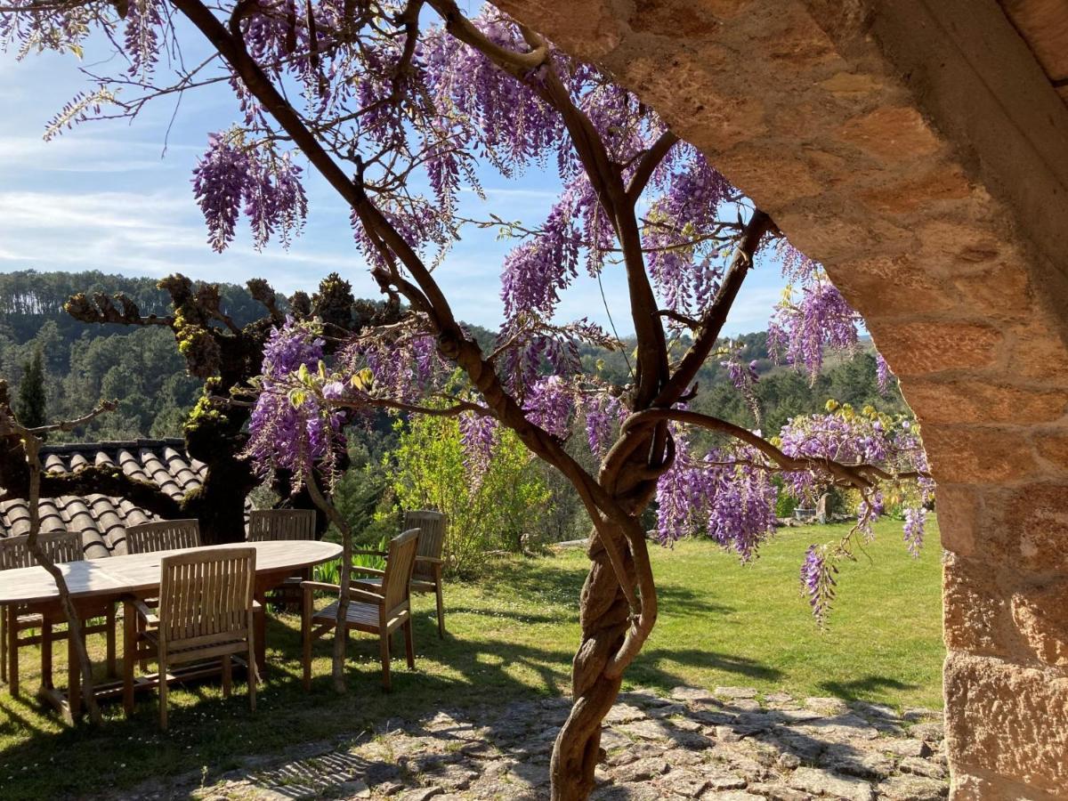 Mas De La Giralde - B&B Payzac  Екстериор снимка